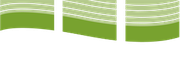 Live Edge Design