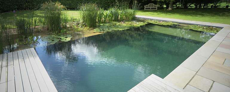 Natural pools can be built big enough to swim in and are eco-friendly