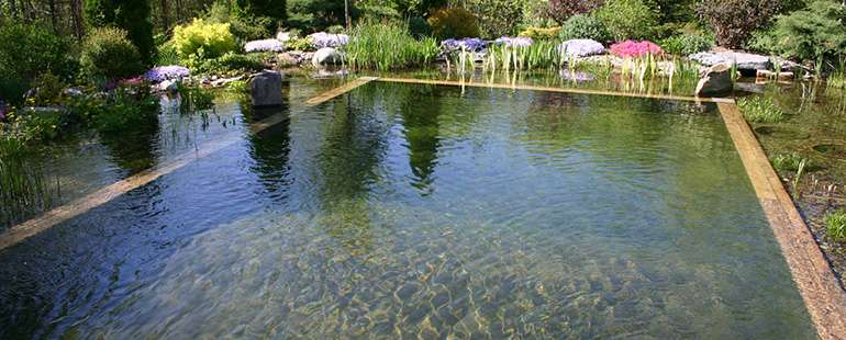Natural pools are very appealing for swimming