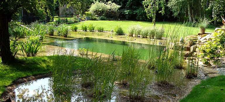 Fancy swimming in this natural pool?