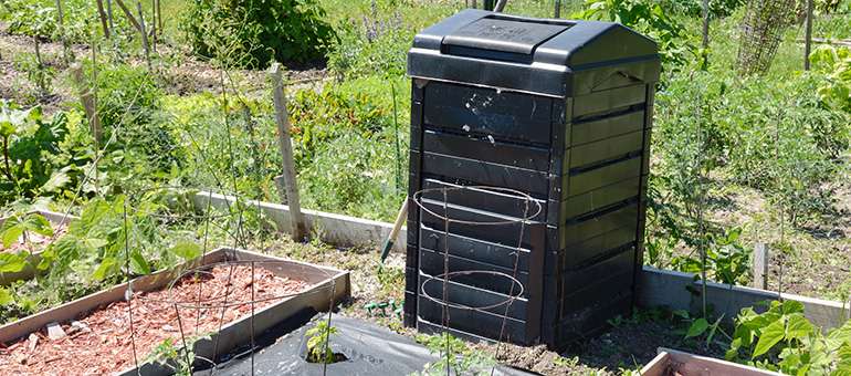 Learn all about backyard composting and growing food at home