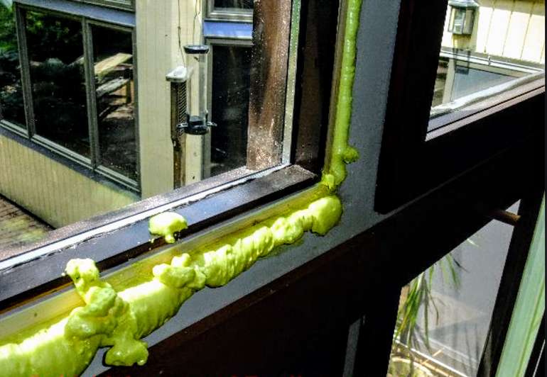 why not to spray foam windows with not so great stuff