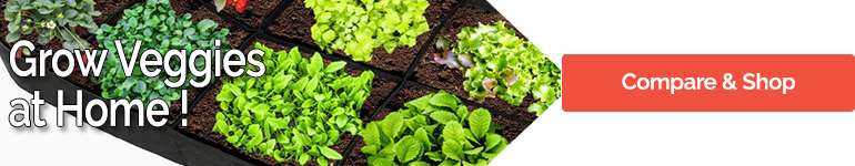 Growing Vegetables in the Shade