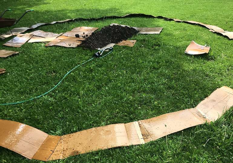 Laying out the perimeter of a Lasagna Garden