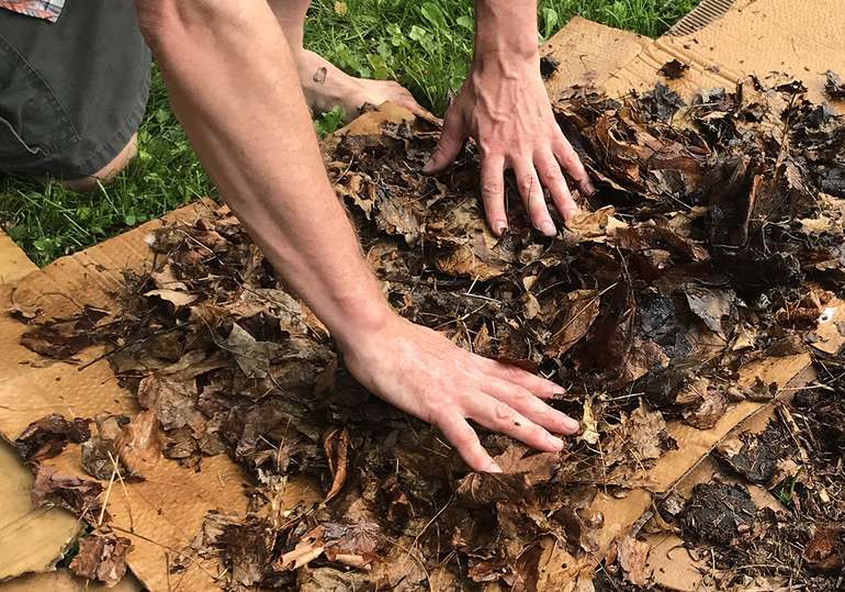 Add a layer of leaves to your Lasagna Garden before adding soil