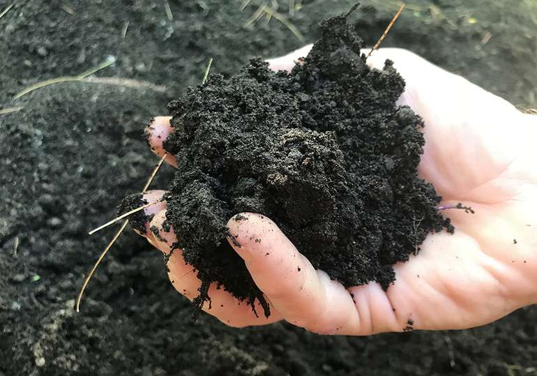 Use a mix of compost and soil for a productive food-producing lasagna garden