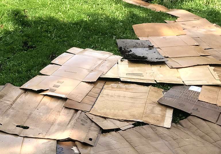 The first layer of a lasagne garden is newsprint or cardboard 