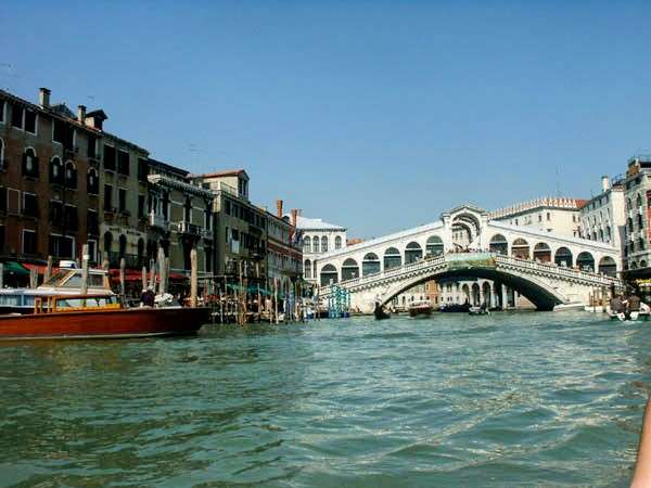 Global shutdown leads to clean water in Venice allows nature to rebound