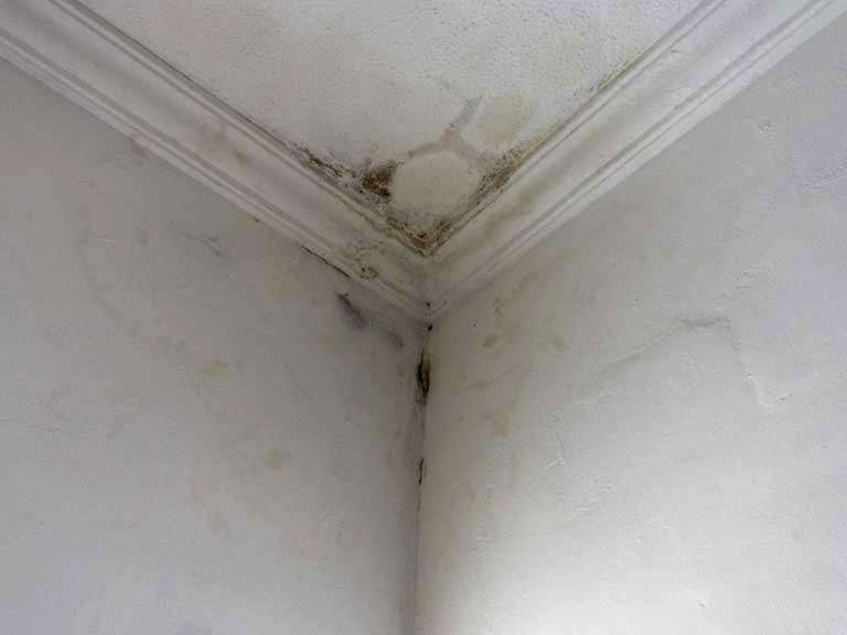 Interstitial condensation on ceilings and how to fix it