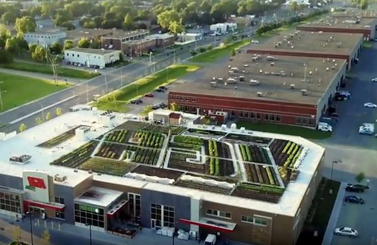 LEED Gold grocery store green roof in Montreal, Quebec produdes its own produce