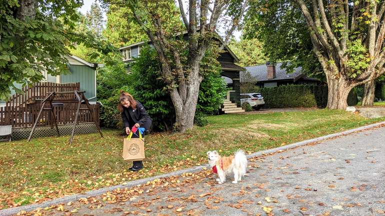 Horse chestnuts for making laundry detergent are easy to find in many towns in autumn
