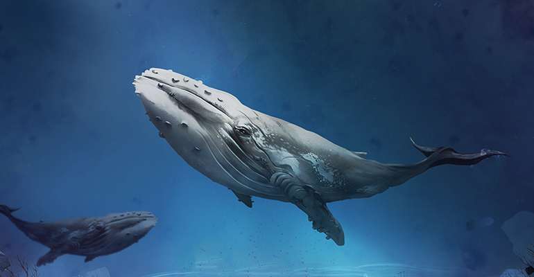 Stop Climate Change & Save the Planet with Whale Poop!