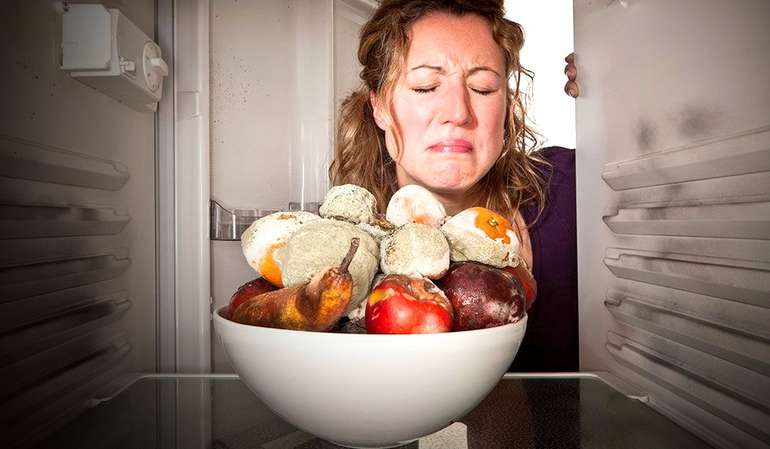 Fridge Optimization can help reduce food waste