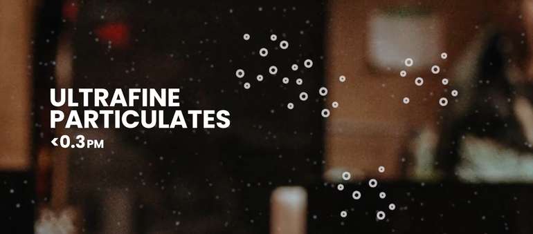 An air purifier should also remove the fine particulates