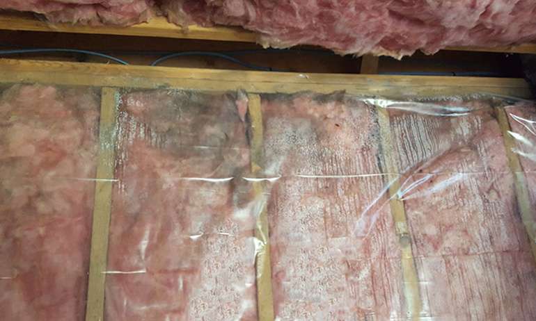 wet basement insulation goes moldy after a flood unless it is dried out completely difficult with a poly vapor barrier in the way 