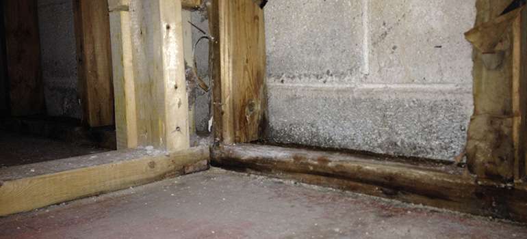 Wet basements after flooding mean wood rot and mold 