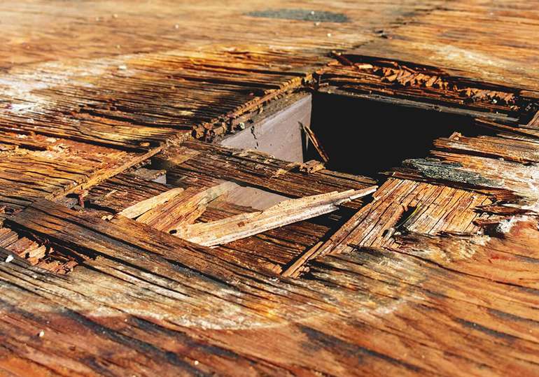 Dry rot in homes can destroy structures and floor surfaces