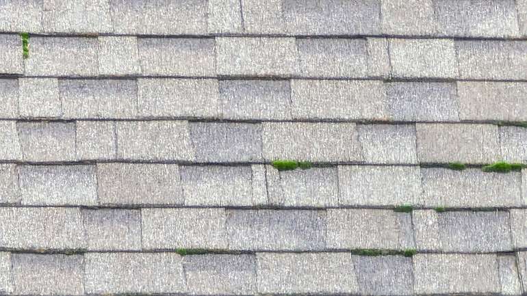 the best asphalt shingles are light-colored and shaded from the sun and 3d profile with a long warranty