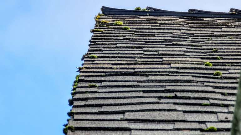 Which are the best asphalt shingles? Well, we might argue that they're the ones that stay in the factory... 