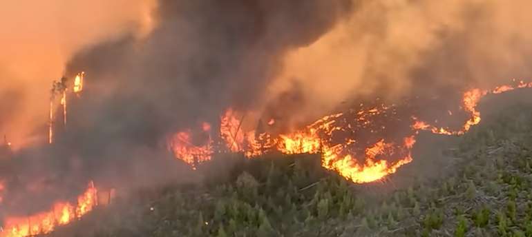 Wildfires are inevitable says a new report into the challenges facing Canada meeting construction targets