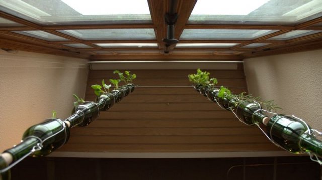vertical window garden