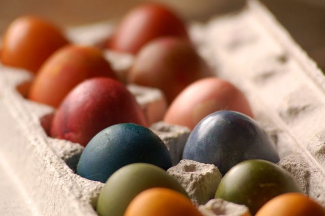 Non-toxic naturally dyed easter eggs