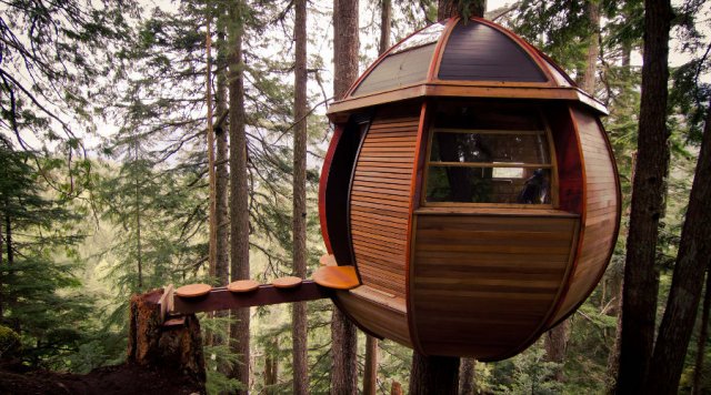 The Hemloft,Joel Allen's secret treehouse 