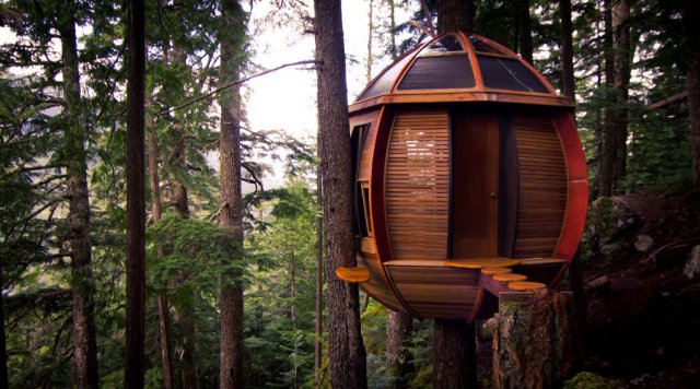 The Hemloft, Joel Allen's secret treehouse 