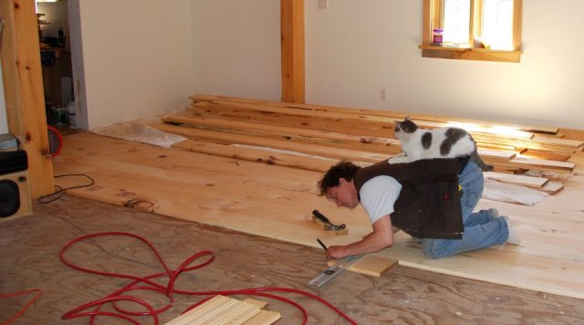 Brian and Chairman Meow 